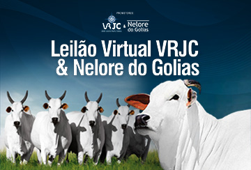 LEILÃO VIRTUAL VRJC & NELORE DO GOLIAS